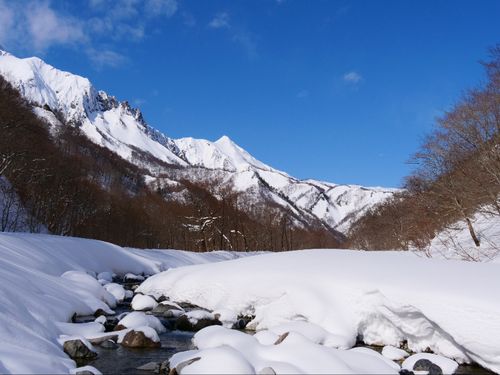 雪質抜群！