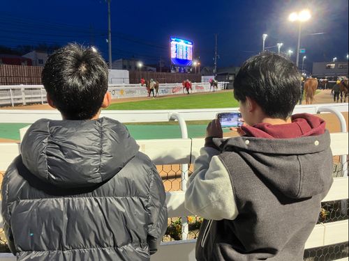 門別競馬場でサラブレッドの見学