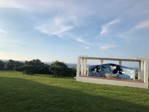 夏の空