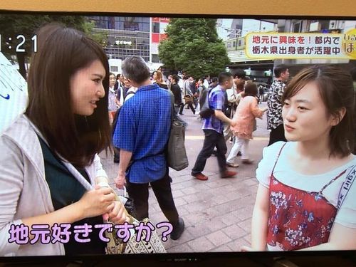 それが高じて、NHK首都圏放送で栃木ゆかりのみを紹介いただきました