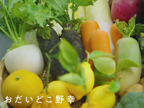 ファームかなやの野菜（ファームかなやのPR動画より）