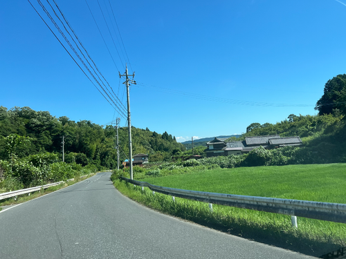 お茶畑が広がる月ケ瀬