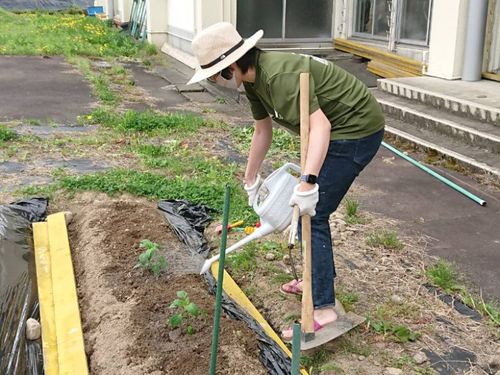畑の水やり。まだ土地が余っているので開墾や作付けもできますよ