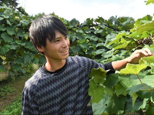 山葡萄農園を経営する山口さん
