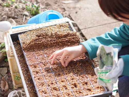 現在、坂勘含む地域の休耕地を片っ端から再生させる！シェアファーム構想進行中。こちらも仕組化し多くの人と共謀したい！