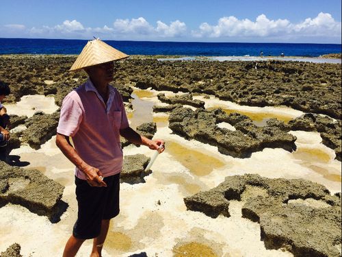 お隣の島徳之島の珊瑚礁のお風呂。ここで高濃度の海水を塩に。