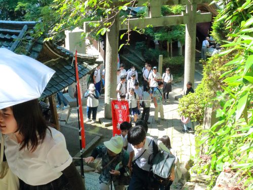 石段を登る。一体何段あるでしょうか？