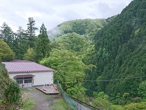 NPO法人「さとやま学校・東京」で自然体験