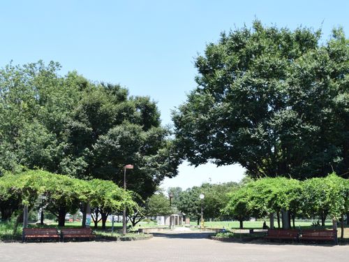 市内にはこどもが遊べる場所が充実（都立六仙公園）