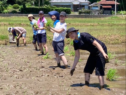 春にみんなでおこなう苗植え作業！