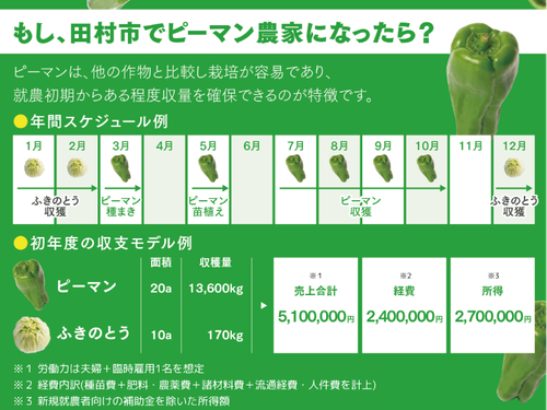＜ピーマンでの就農モデル例＞