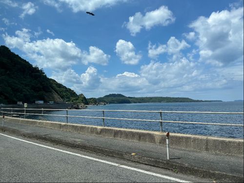 大井から出る時も帰って来る時も、綺麗な日本海を横目にドライブできます♪