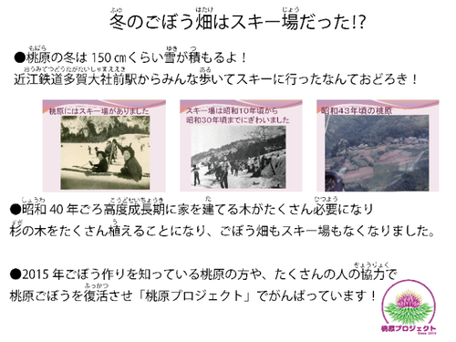 冬のごぼう畑はスキー場だった⁉