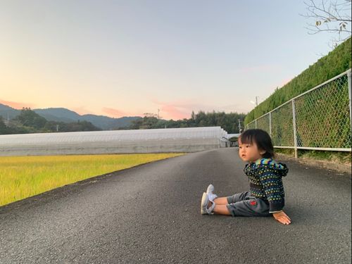 田んぼ添いの道を夕焼け散歩