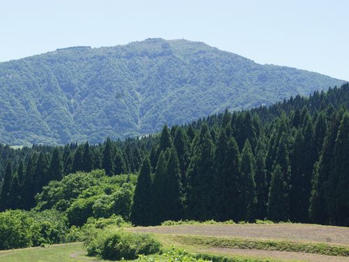 新緑の氷ノ山と森林