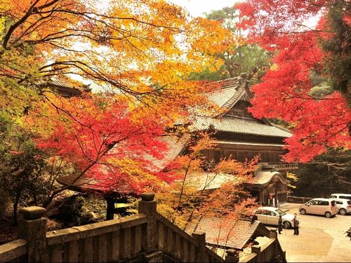 新宮町仏龍寺の紅葉