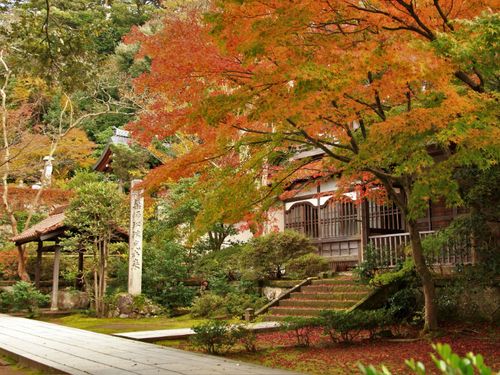 あいうえお発祥の地で学ぶ、日本語の妙。