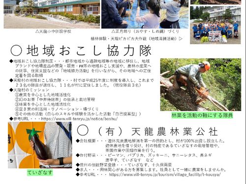 チラシ裏面（下部）
