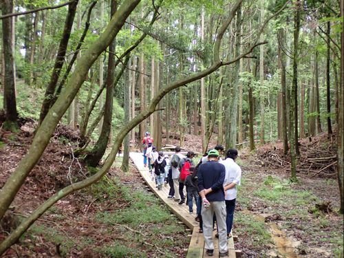 山の香りを全身で感じながらトレイル