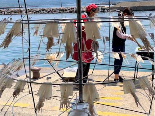 大島まるまる体験ツアーでイカ捌き体験！！