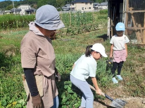 農園では農業体験も少ししていただけます♪