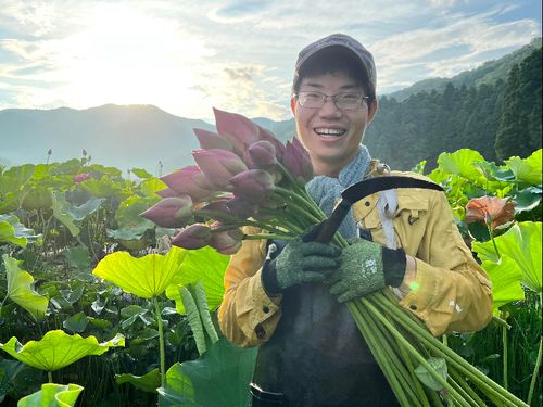 地方移住９年目。複業の一コマ（花ハス収穫）