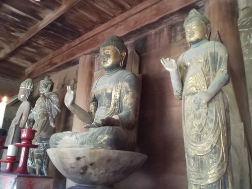 徳地でのカワラケツメイ茶の歴史から学びます