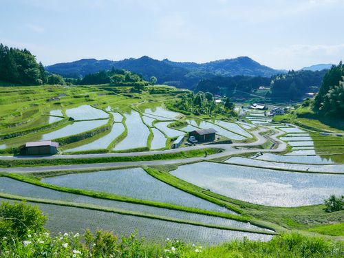 山間部の美しい風景もすぐそばに🌾