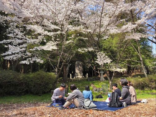 春は優雅にお花見ランチ。もちろん場所取りは不要！笑