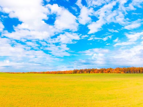 北海道スケールの大パノラマ。澄んだ空気を胸いっぱいに吸い込む爽快感を味わえます。