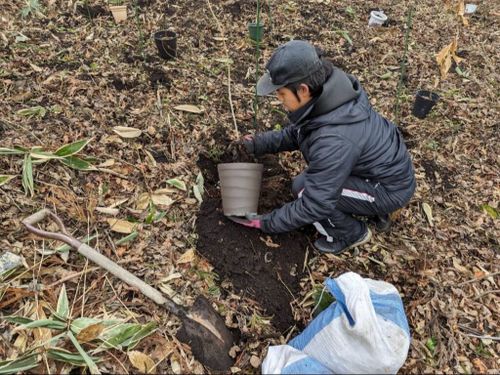 植林は年に1回、樹木が成長を停止する11月末〜2月頃の「休眠期」に実施