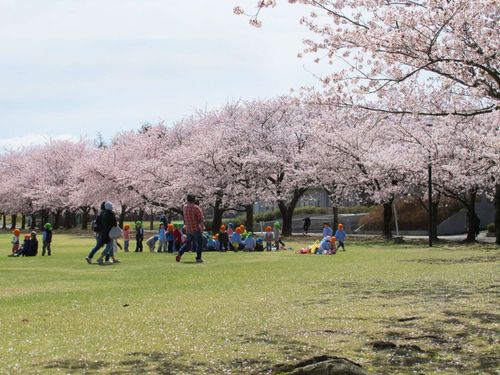 中央公園