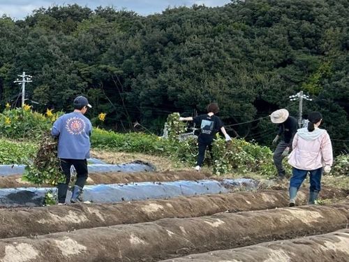 農業PJと協力して農業に取り組む大人の島留学生