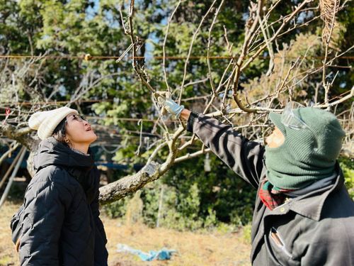 地域の未来をつなぐ！梨園再生プログラム！