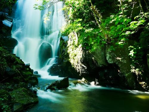 夏の壮瞥滝