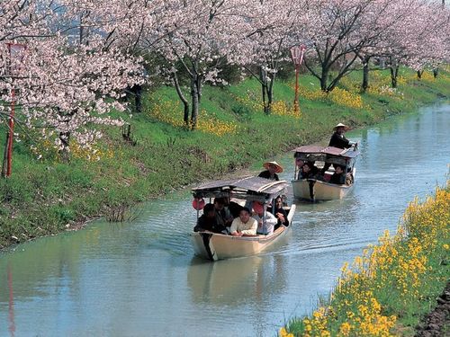 水郷めぐり