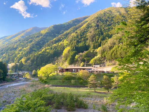新緑が綺麗な時期