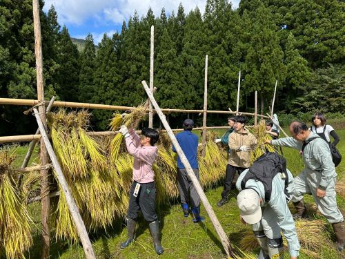 地域での農作業体験イベントの企画・運営