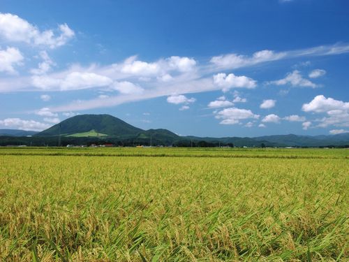 町のシンボル『やくらい山』と豊富に実った稲穂