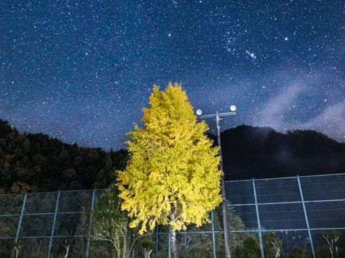 夏の夜空