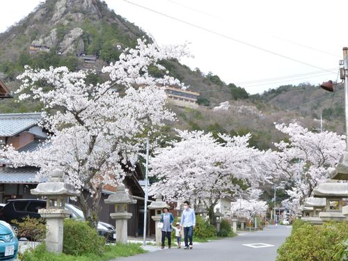 太郎坊の春
