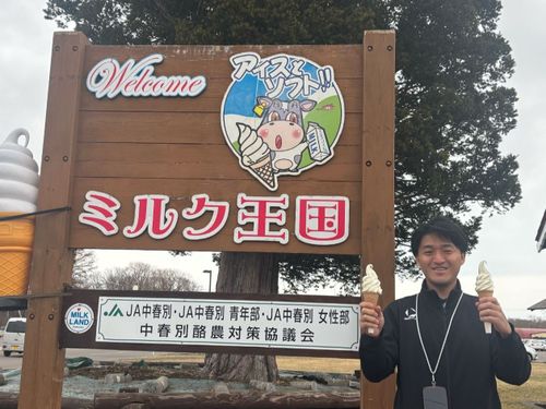 ミルク王国（中春別地区）マスカルポーネ味がおすすめ！チーズ好きにはたまらない