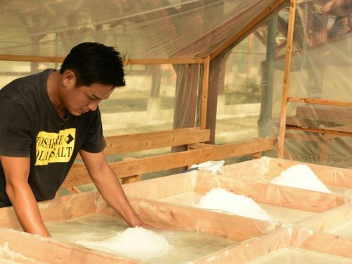 海水の状態から何度も攪拌作業を重ねて商品を育てます