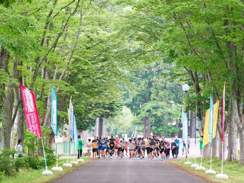 白神山地ブナの森マラソン8.8kmコーススタート