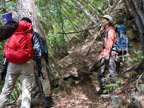 ガイドを行う片山さん。低山の植物等を案内。