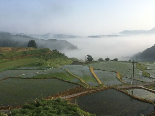 美しい田園風景が広がります♪