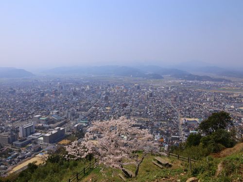 鳥取城跡から見下ろす街並み