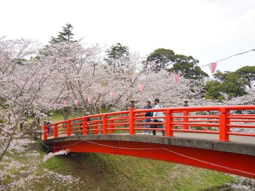 水郷おみがわ桜つつじまつり