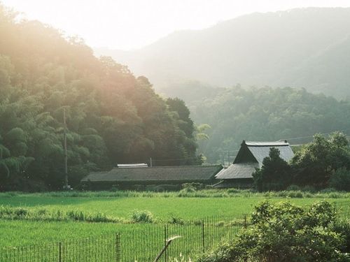 人にも昆虫にも心地よさそうな五箇エリア