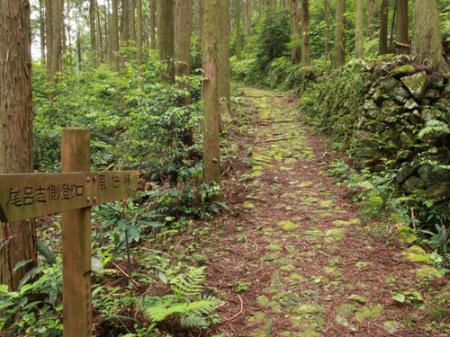 千年の歴史を抱く熊野古道ではトレッキングも楽しめる